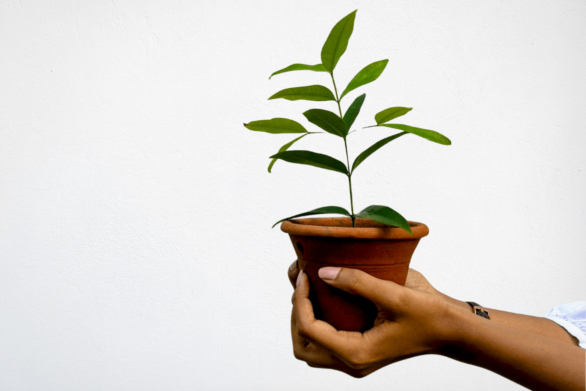 Woman holding potted plant